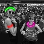 LED Dog Safety Collar — USB Rechargeable Glow-in-the-Dark Necklace