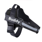 Custom Patch No-Pull Dog Harness — Reflective & Breathable, All Sizes