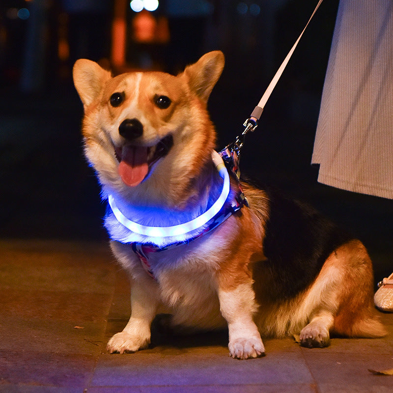 LED Glow Dog Collar & Leash Set — USB Rechargeable Silicone Night Safety