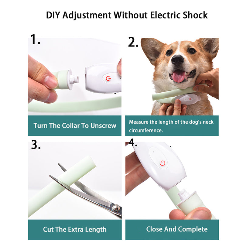 LED Glow Dog Collar & Leash Set — USB Rechargeable Silicone Night Safety