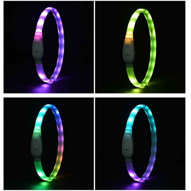 LED Glow Dog Collar & Leash Set — USB Rechargeable Silicone Night Safety