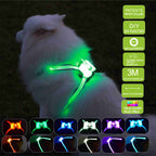Silicone LED Dog Collar — USB Rechargeable Glow Collar for All Breeds