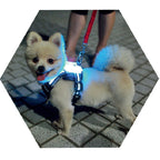 Silicone LED Dog Collar — USB Rechargeable Glow Collar for All Breeds