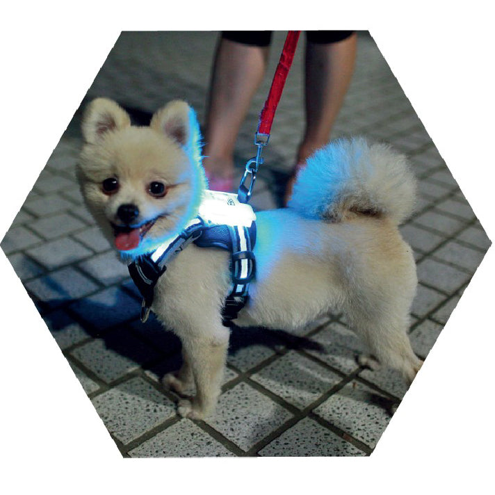 Silicone LED Dog Collar — USB Rechargeable Glow Collar for All Breeds