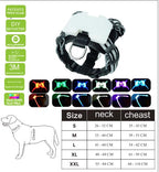 Silicone LED Dog Collar — USB Rechargeable Glow Collar for All Breeds