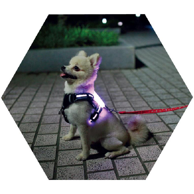 Silicone LED Dog Collar — USB Rechargeable Glow Collar for All Breeds