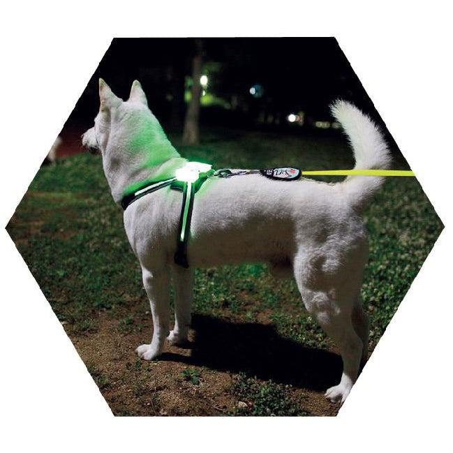Silicone LED Dog Collar — USB Rechargeable Glow Collar for All Breeds