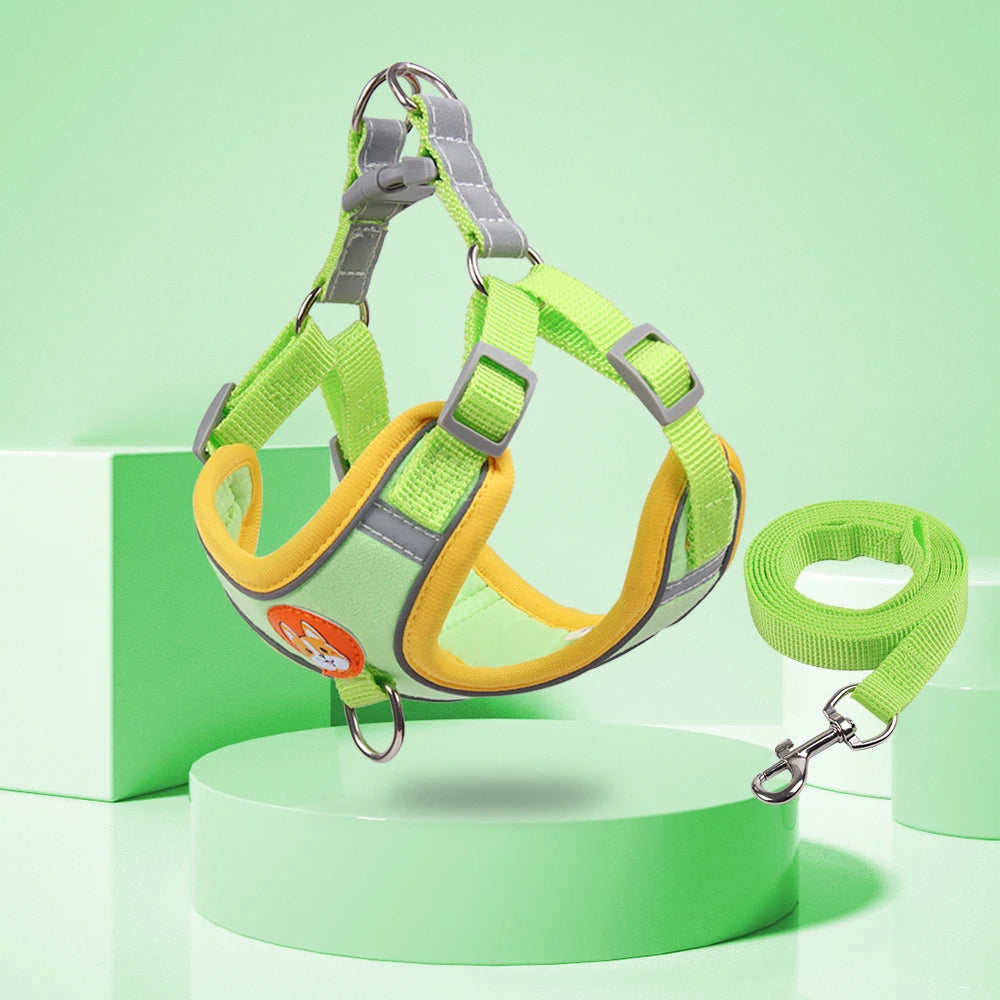 No-Pull Harness & Leash Set for Small Dogs — Reflective, Adjustable