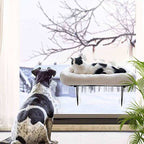 Cat Window Hammock — Suction Cup Hanging Perch for Cats