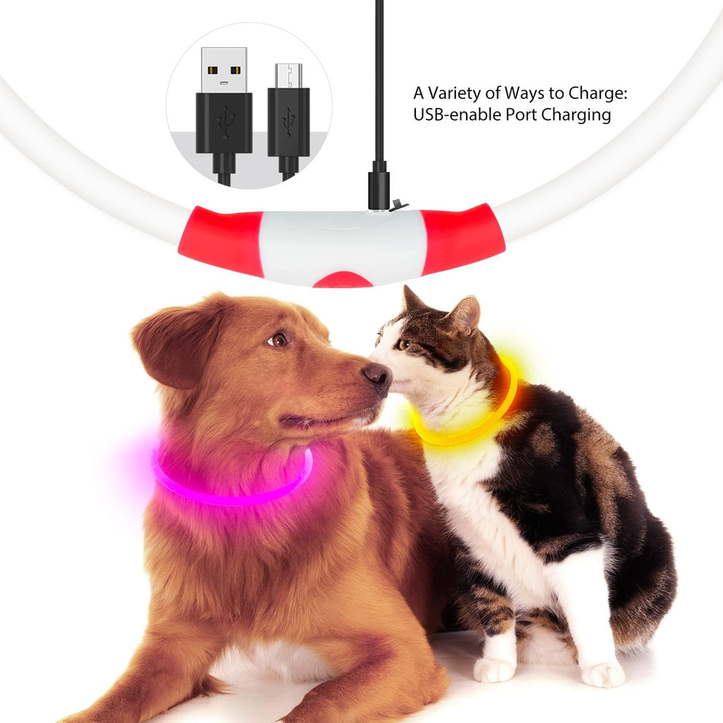 LED Dog Safety Collar — USB Rechargeable Glow-in-the-Dark Necklace
