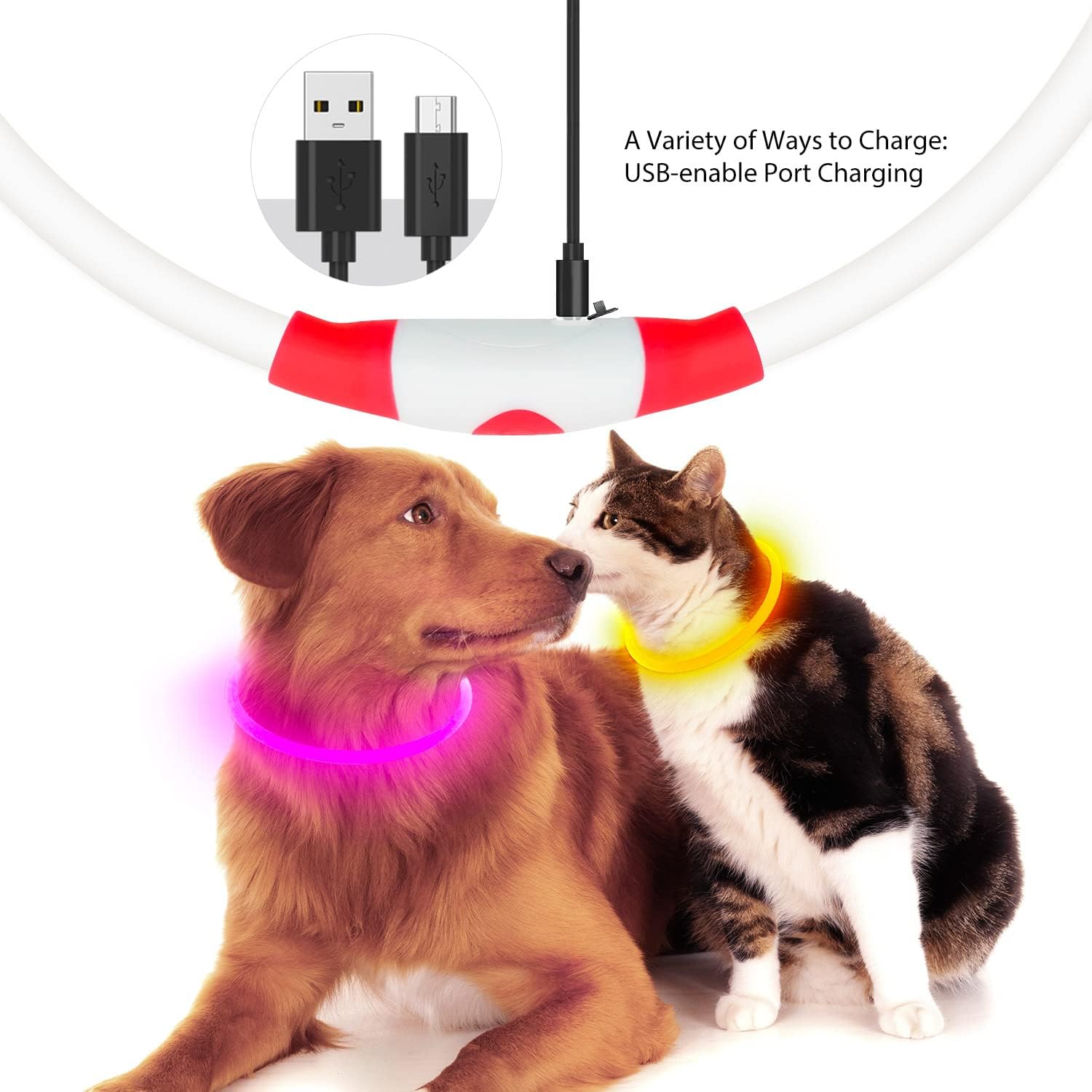 LED Dog Safety Collar — USB Rechargeable Glow-in-the-Dark Necklace