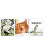 Cat Window Hammock — Suction Cup Wall-Mounted Perch for Cats