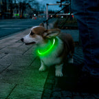 LED Dog Safety Collar — USB Rechargeable Glow-in-the-Dark Necklace