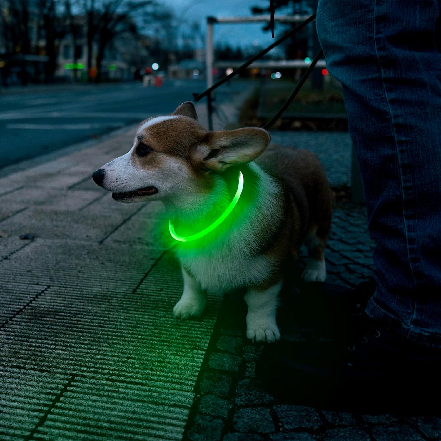 LED Dog Safety Collar — USB Rechargeable Glow-in-the-Dark Necklace