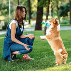 Durable Rubber Dog Puzzle Ball — Interactive Treat-Dispensing Chew Toy