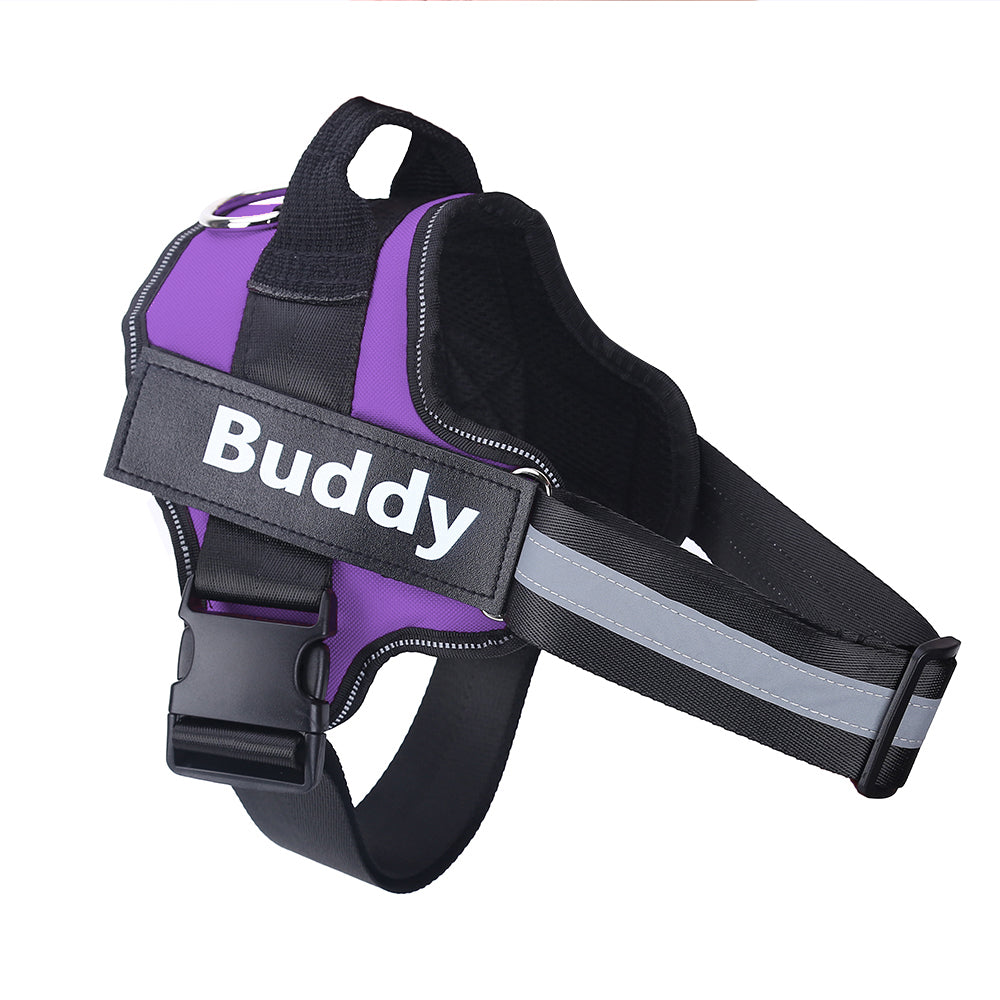 Custom Patch No-Pull Dog Harness — Reflective & Breathable, All Sizes