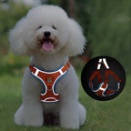 No-Pull Harness & Leash Set for Small Dogs — Reflective, Adjustable