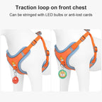 No-Pull Harness & Leash Set for Small Dogs — Reflective, Adjustable