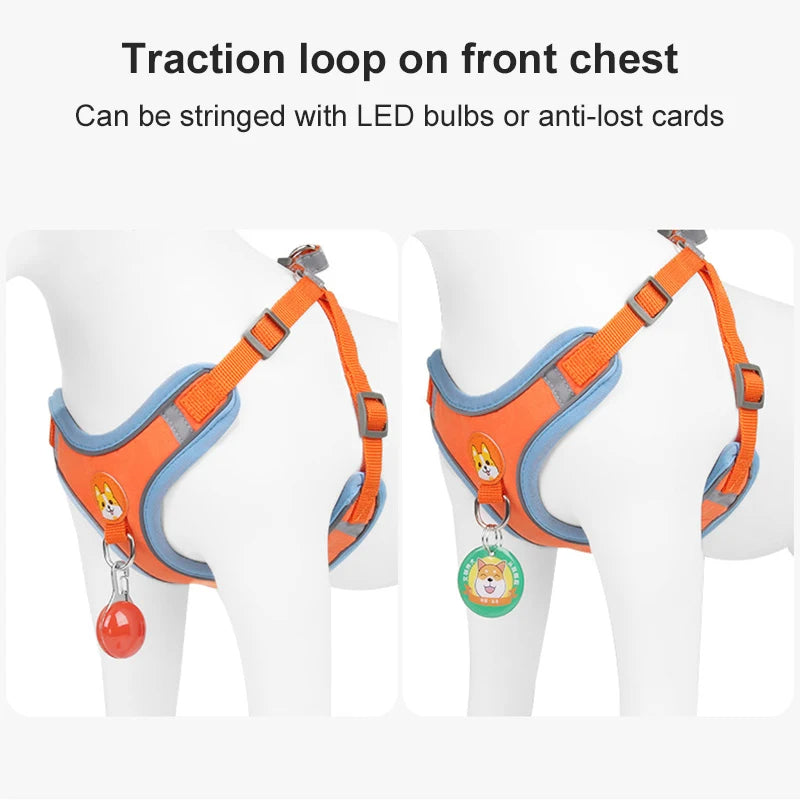 No-Pull Harness & Leash Set for Small Dogs — Reflective, Adjustable