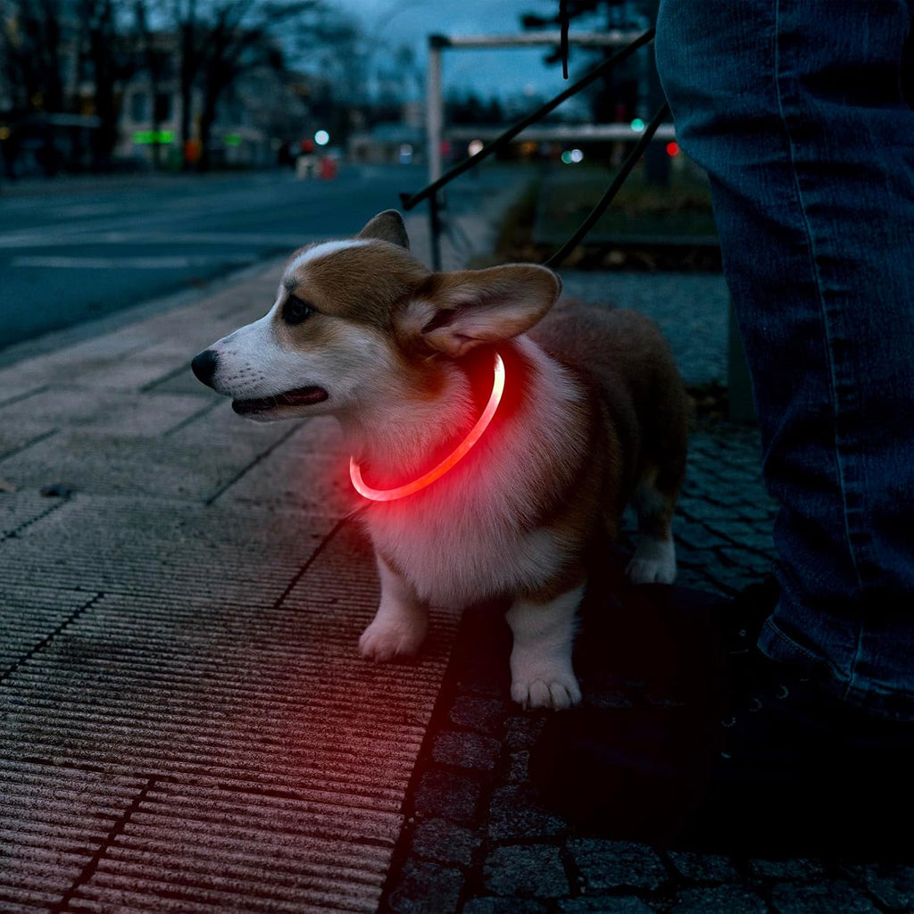 LED Dog Safety Collar — USB Rechargeable Glow-in-the-Dark Necklace