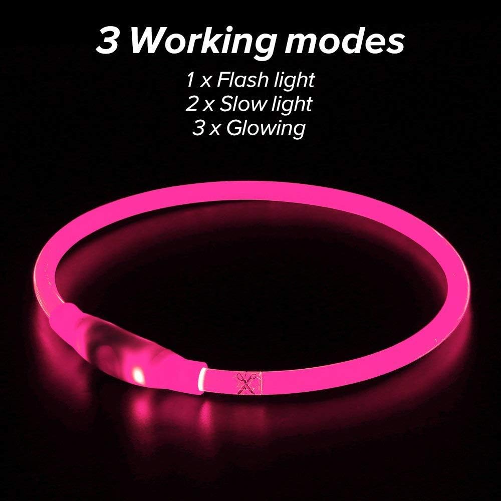 LED Dog Safety Collar — USB Rechargeable Glow-in-the-Dark Necklace