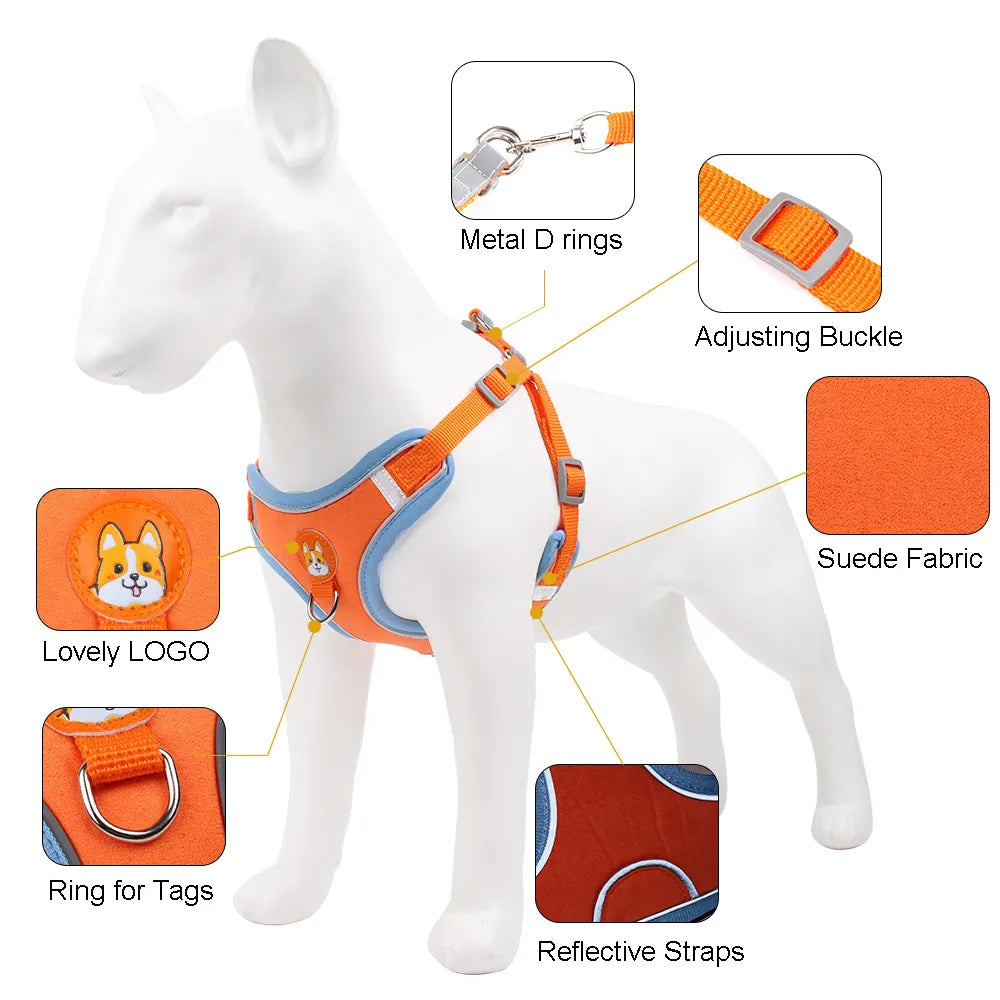 No-Pull Harness & Leash Set for Small Dogs — Reflective, Adjustable