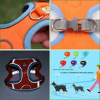 No-Pull Harness & Leash Set for Small Dogs — Reflective, Adjustable