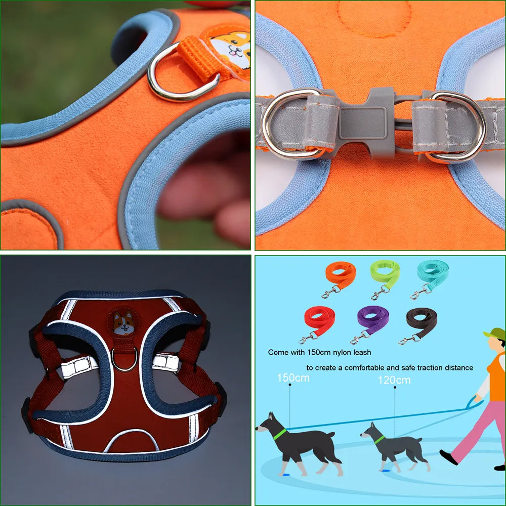 No-Pull Harness & Leash Set for Small Dogs — Reflective, Adjustable