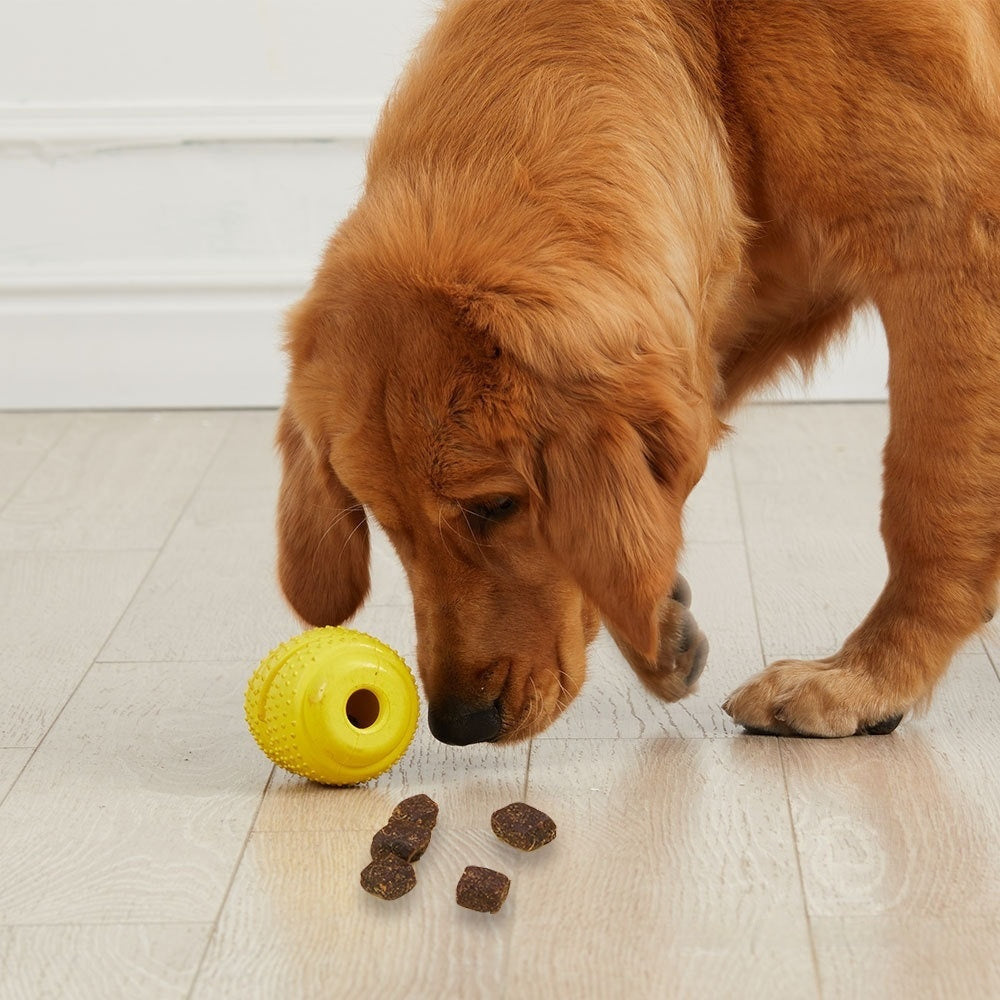 Rubber Treat-Dispensing Dog Toy — Durable Interactive Chew Ball