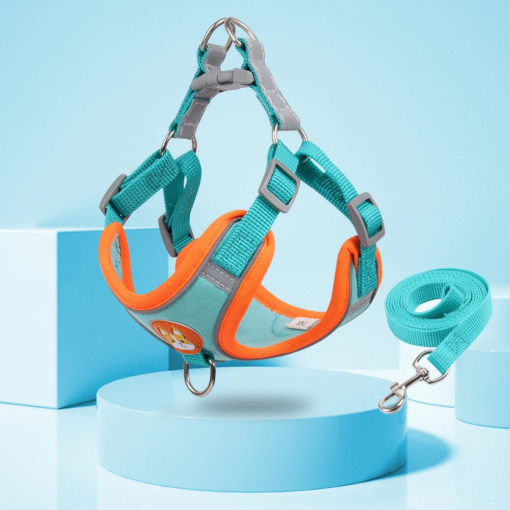 No-Pull Harness & Leash Set for Small Dogs — Reflective, Adjustable