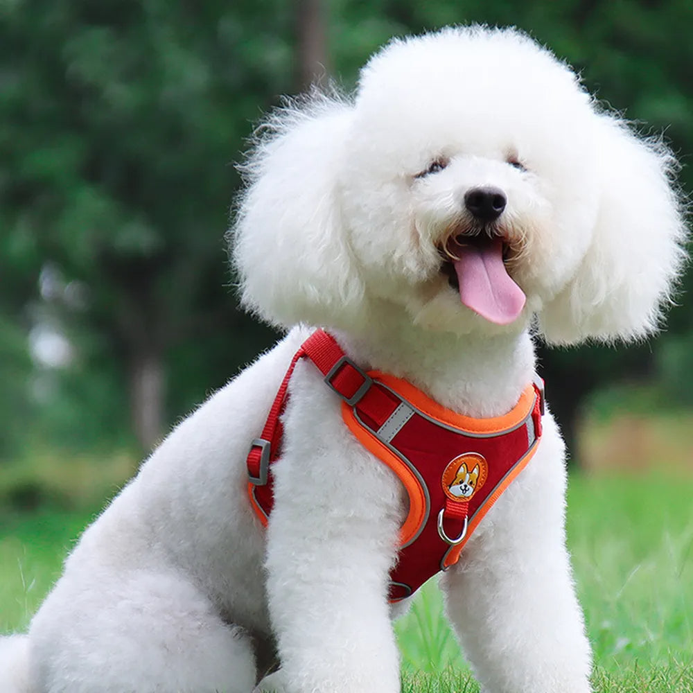 No-Pull Harness & Leash Set for Small Dogs — Reflective, Adjustable