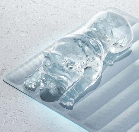 Gel Ice Pet Cooling Mattress — Self-Cooling Cushion Mat for Dogs & Cats