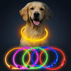 LED Dog Safety Collar — USB Rechargeable Glow-in-the-Dark Necklace