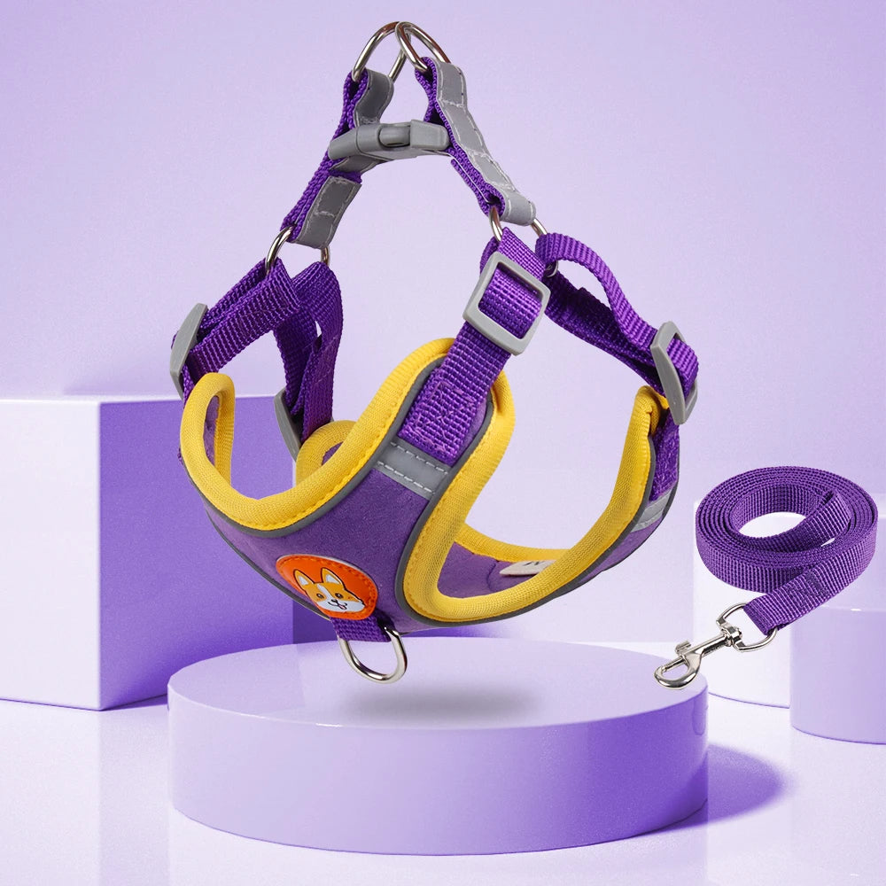 No-Pull Harness & Leash Set for Small Dogs — Reflective, Adjustable