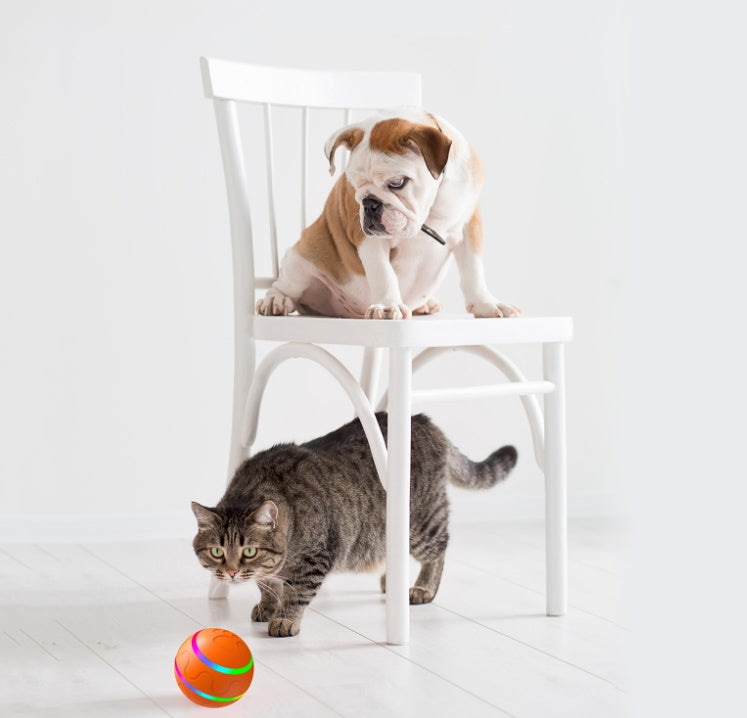 Self-Rotating Ball Toy — USB Rechargeable Automatic Motion Ball