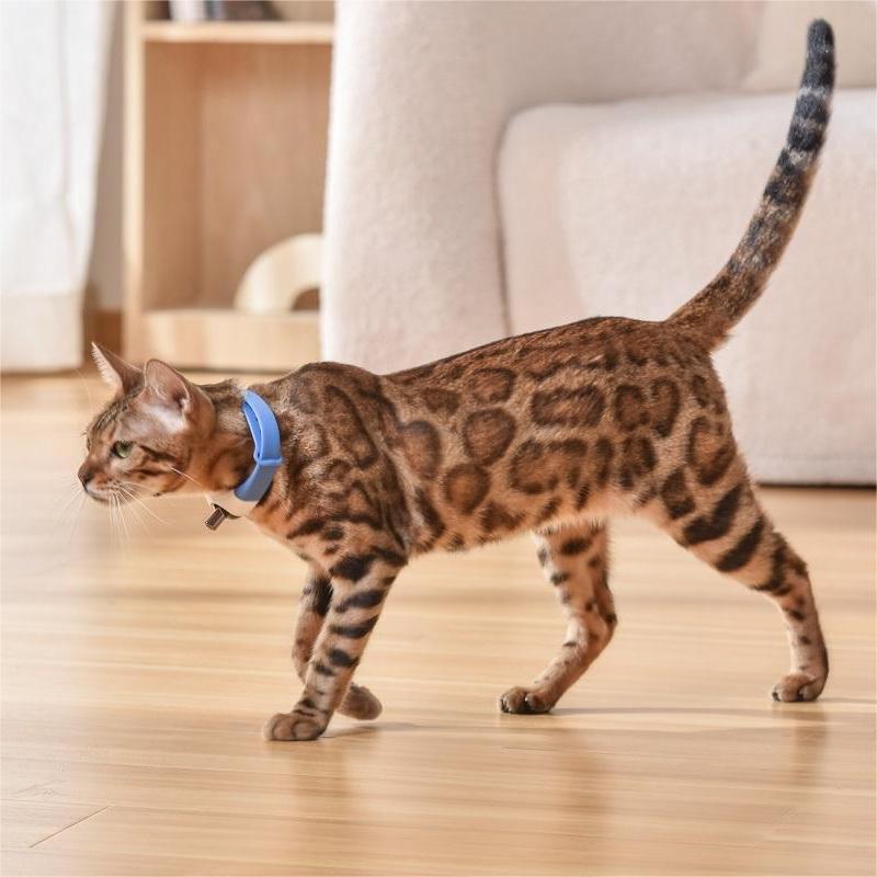 Cat Laser Collar Toy — Hands-Free Interactive Light Chase Toy