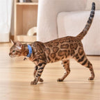 Cat Laser Collar Toy — Hands-Free Interactive Light Chase Toy