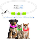 LED Dog Safety Collar — USB Rechargeable Glow-in-the-Dark Necklace