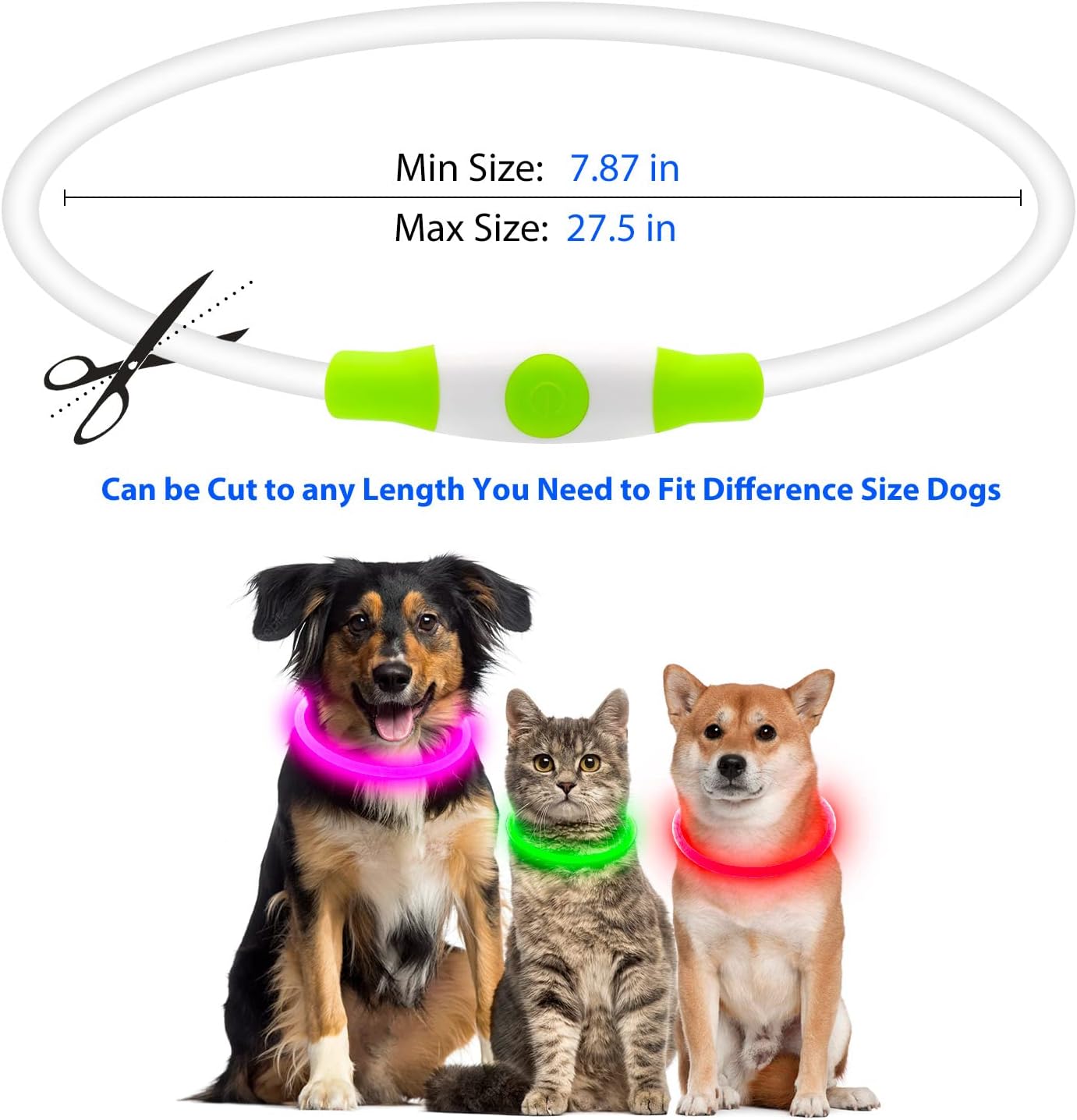 LED Dog Safety Collar — USB Rechargeable Glow-in-the-Dark Necklace