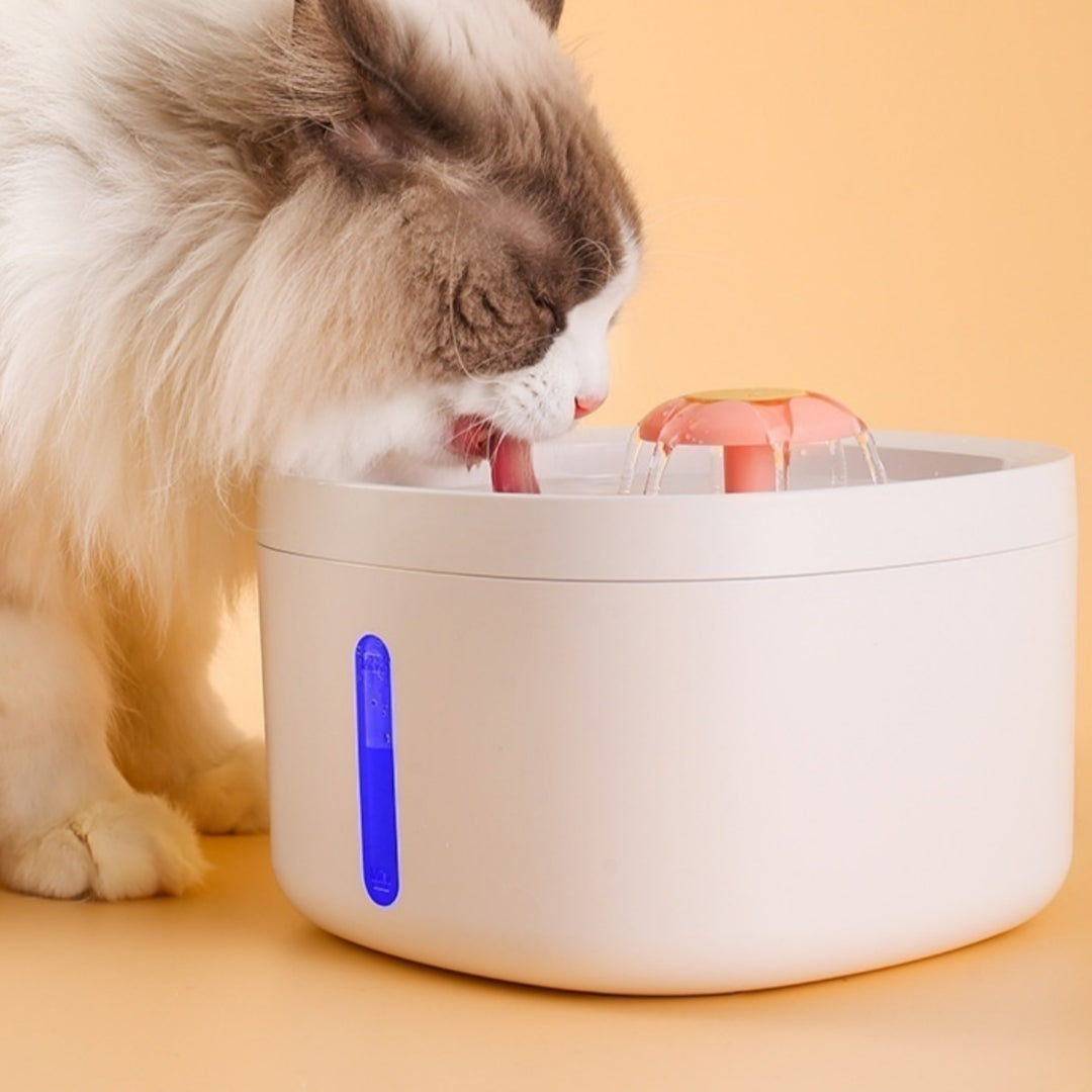 Smart Filtered Pet Water Fountain — Quiet Induction Charging Dispenser