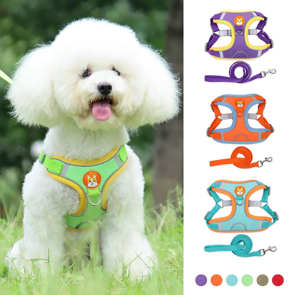 No-Pull Harness & Leash Set for Small Dogs — Reflective, Adjustable