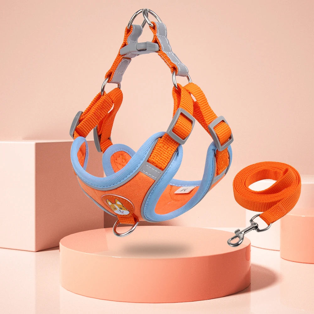 No-Pull Harness & Leash Set for Small Dogs — Reflective, Adjustable