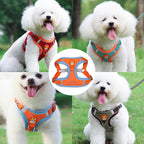 No-Pull Harness & Leash Set for Small Dogs — Reflective, Adjustable