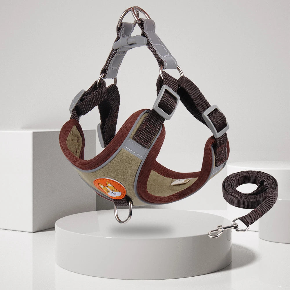 No-Pull Harness & Leash Set for Small Dogs — Reflective, Adjustable