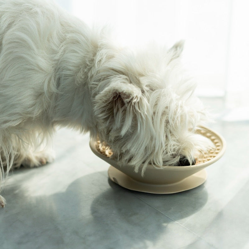 Silicone Dog Slow Feeder Bowl & Lick Mat — 2-in-1 Interactive Mealtime Toy