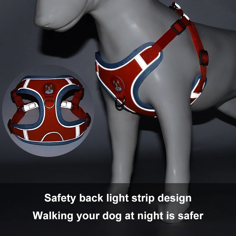No-Pull Harness & Leash Set for Small Dogs — Reflective, Adjustable