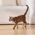 Cat Laser Collar Toy — Hands-Free Interactive Light Chase Toy