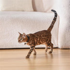 Cat Laser Collar Toy — Hands-Free Interactive Light Chase Toy